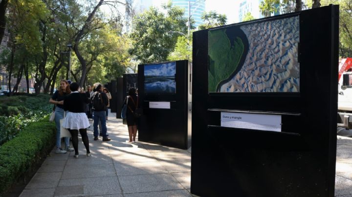 Con exposición en Paseo de la Reforma destacan la lucha para proteger al ambiente en CDMX