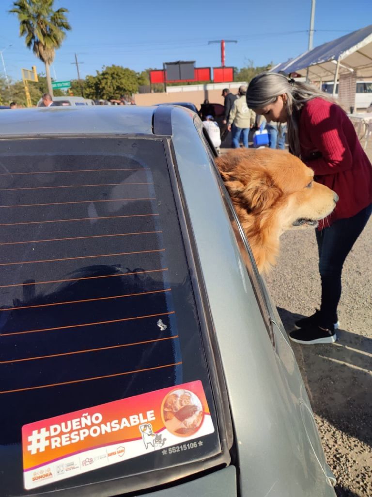 Vacunación antirábica 