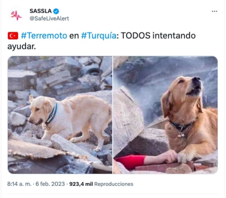 Sismo Turquía 