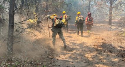 Pese a ayuda de México, incendios en Chile no paran: Decretan toque de queda en zonas afectadas