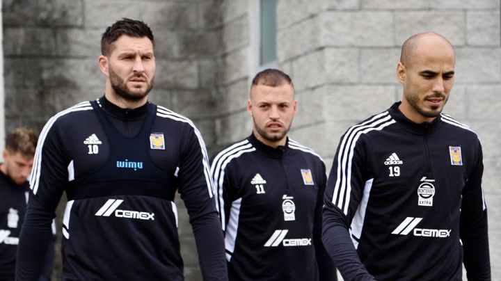 Tigres: La molestia de los fans y lo que pasará en el club tras la salida de Diego Cocca