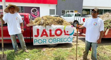 'Jalo por Obregón' se suma a la recuperación de camellones en Cajeme; invitan a la ciudadanía