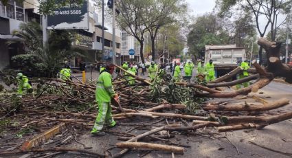 Nuevo frente frío en la CDMX: Conagua alerta por fuertes vientos y lluvias en la capital y el Edomex