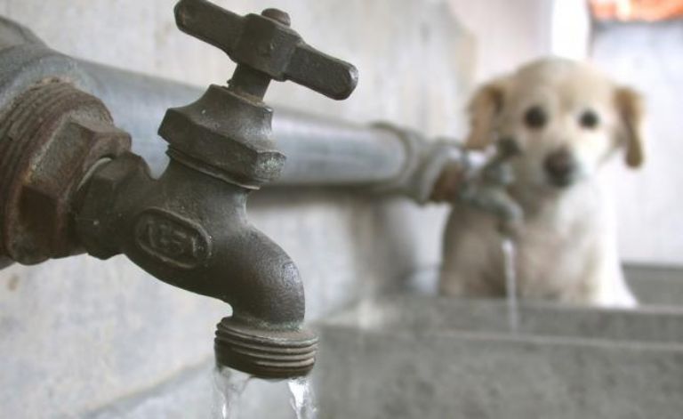 Cortes de agua en la CDMX y el Edomex