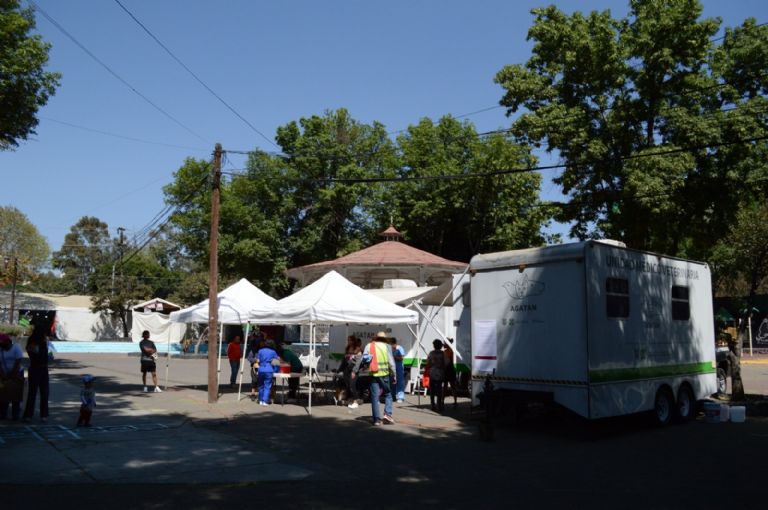 Jornada de esterilización de mascotas en Tlalpan