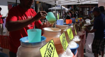 Regresa la bebida de los dioses: Asiste a la Feria del Pulque en Edomex y disfruta tu curado favorito