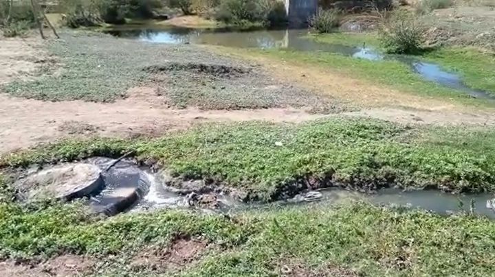 Río Mayo, otra víctima más del drenaje colapsado en Navojoa; la contaminación lo ha afectado