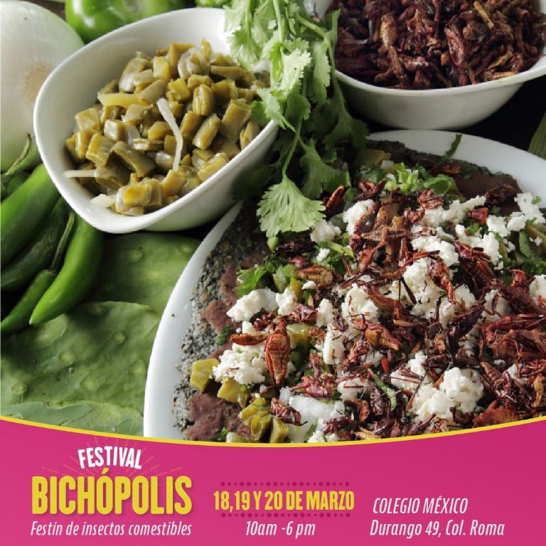 Festival Bichopolis en la CDMX