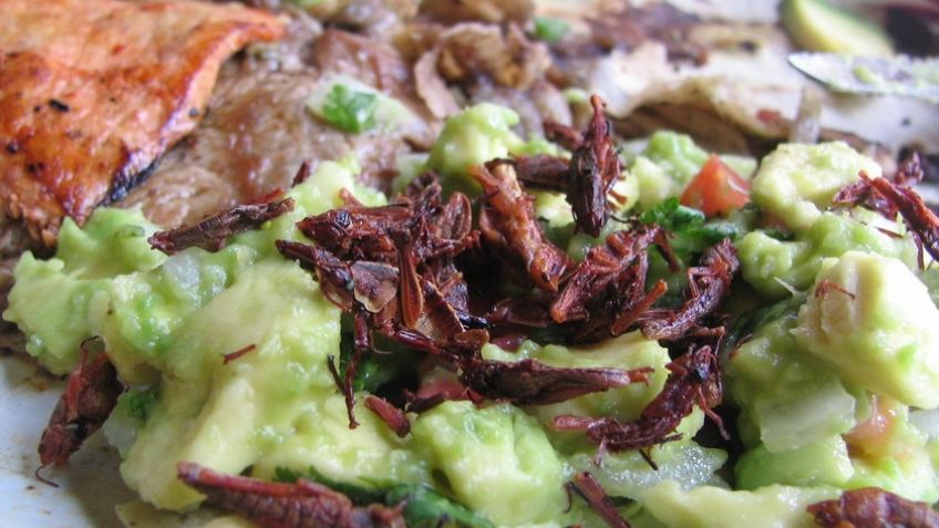 Visita Bichopolis en la CDMX; el festival en el que puedes comer todo tipo de insectos en la.capital