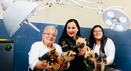 Sandra Cuevas inaugura nueva clínica veterinaria en el Jardín Pushkin, en la alcaldía Cuauhtémoc