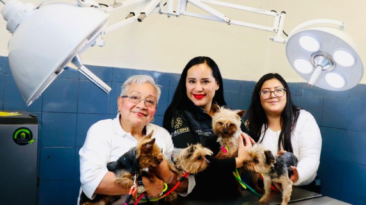 Sandra Cuevas inaugura nueva clínica veterinaria en el Jardín Pushkin, en la alcaldía Cuauhtémoc