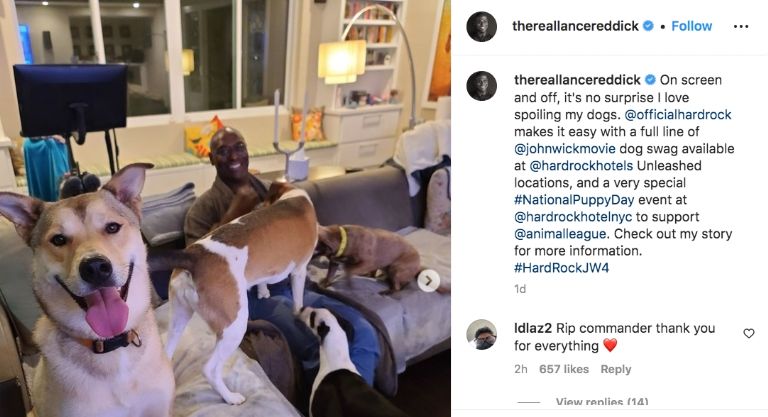 Instagram @thereallancereddick