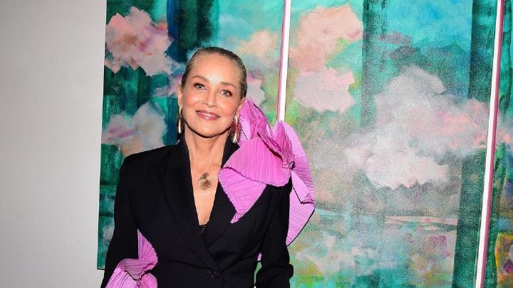 Entre lágrimas, Sharon Stone revela que perdió la mitad de su dinero; quiebra de SVB fue el motivo