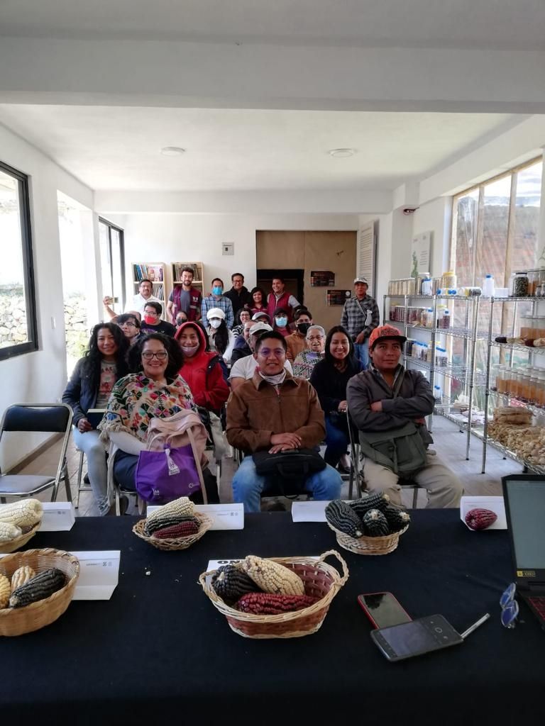 Capacitación sobre cultivo de maíz