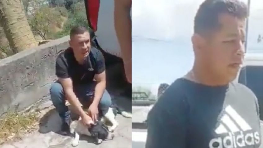 Atroz: Denuncian secuestro de perros en la CDMX para usar a los animales en peleas clandestinas