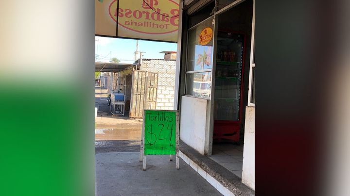 Precio de las tortillas en Ciudad Obregón podría aumentar; ya aumentó en CDMX y otras urbes