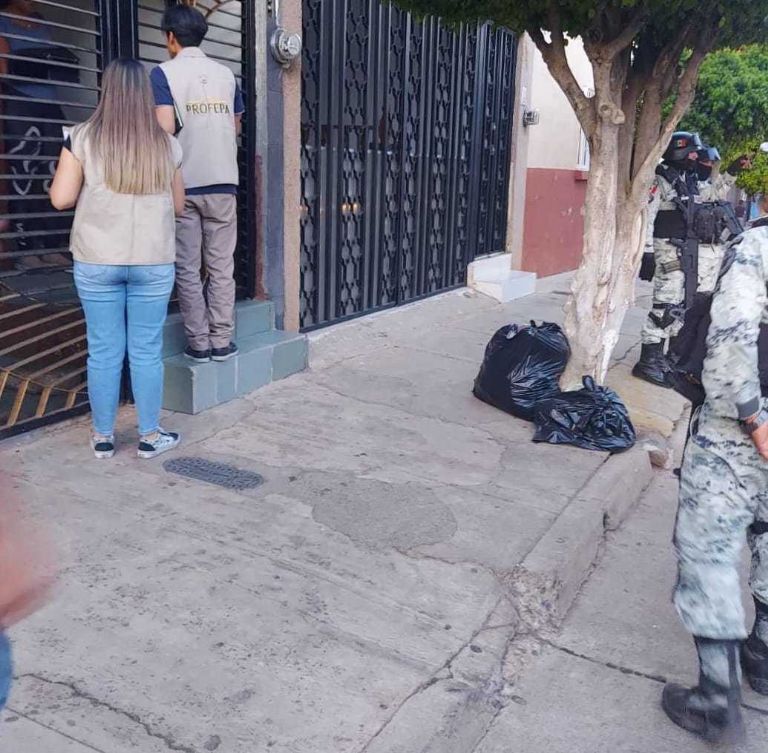 Operativo Pantera Profepa