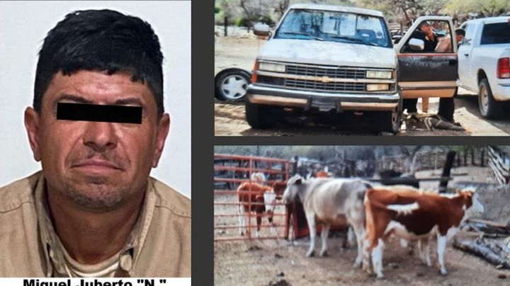 Capturan en Sonora a Miguel Juberto por robo de ganado; extrajo a los animales de un rancho