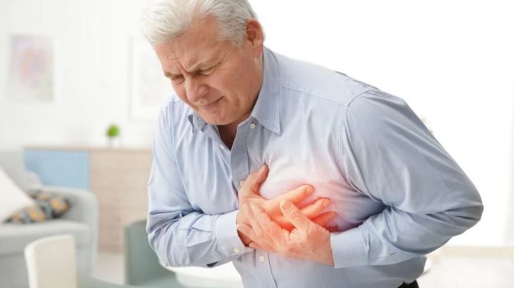 Mejora tu salud: Expertos recomiendan esta semilla para reducir el riesgo de un ataque al corazón