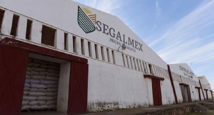 Segalmex, fracaso corrupto de los programas sociales; acumula desfalcos al erario por más de 15mmdp