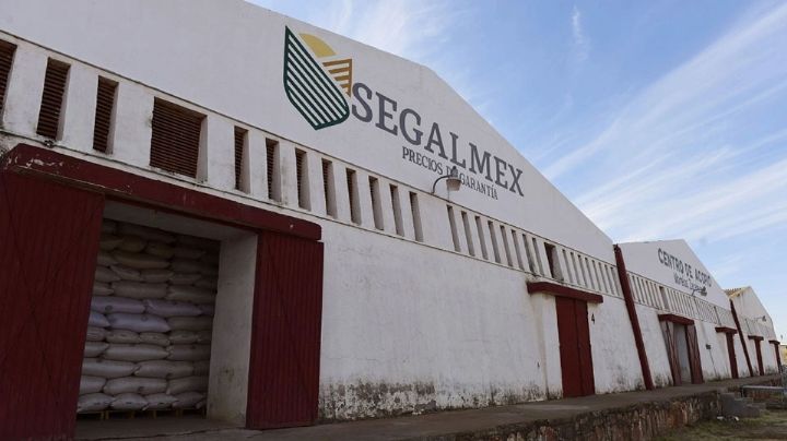 Segalmex, fracaso corrupto de los programas sociales; acumula desfalcos al erario por más de 15mmdp