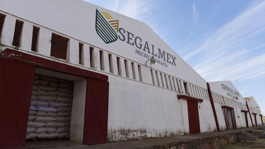Segalmex, fracaso corrupto de los programas sociales; acumula desfalcos al erario por más de 15mmdp