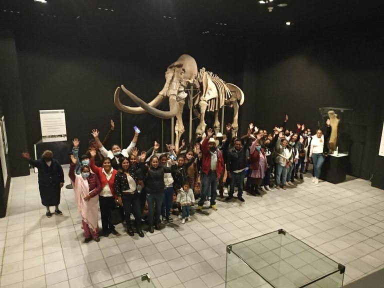 Museo del Mamut en Edomex