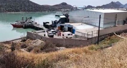 Tragedia en Sonora: Empleado de empresa de harina muere al ser succionado por un ducto en Guaymas