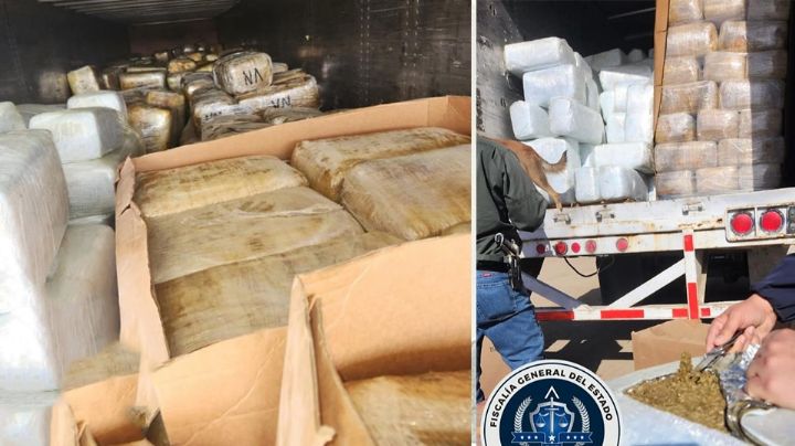 Tijuana: Aseguran 12 toneladas de marihuana y detienen a dos presuntos narcomenudistas
