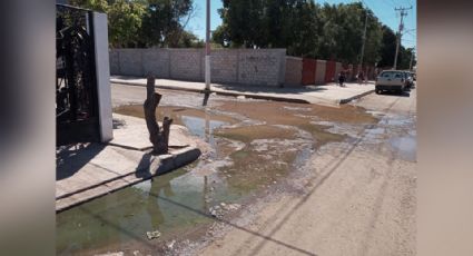 Vecinos de la colonia 410 en Ciudad Obregón reportan drenajes colapsados