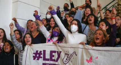 Tras aprobar la 'Ley Malena' en Puebla, diputado del PRI 'silencia' a la activista