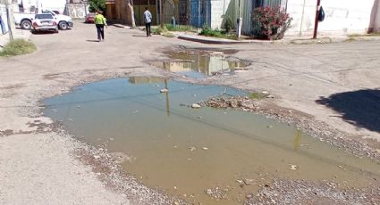 Baches aparecen por drenajes colapsados en la colonia Miravalle de Ciudad Obregón