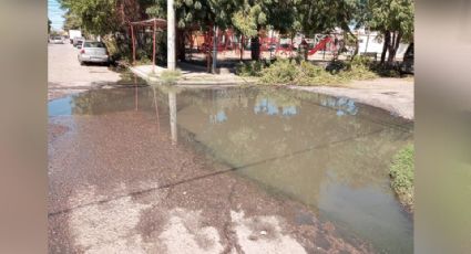 Habitantes de la colonia Miravalle en Ciudad Obregón tienen varios meses con varios drenajes colapsados