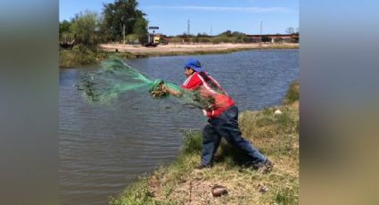 Regresa la pesca al Río Mayo en el municipio de Navojoa; pasó casi una década para que volviera