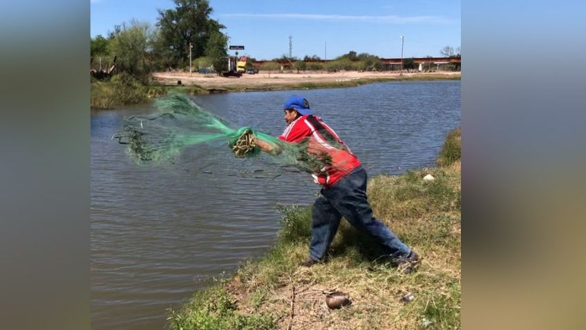 Regresa la pesca al Río Mayo en el municipio de Navojoa; pasó casi una década para que volviera