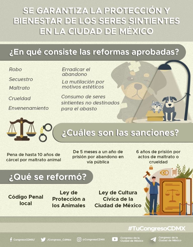 Maltrato animal en la CDMX