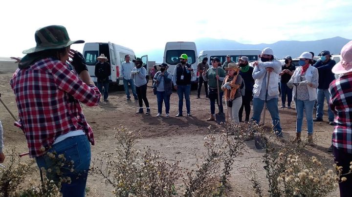 Brigada estatal de búsqueda de colectivos; se realizará este sábado en Guaymas