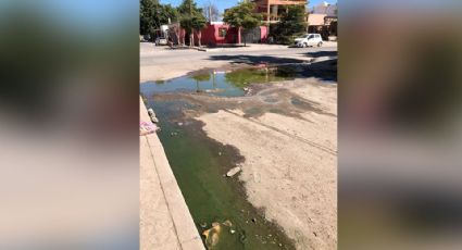 Vecinos de la colonia Cortinas en Ciudad Obregón presentan problemas con el drenaje desde hace meses