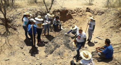 Guerreras Buscadoras mantienen sus búsquedas pese al dolor; en la región hay 630 desaparecidos