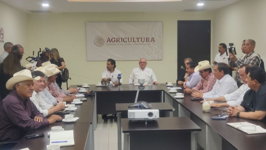 Productores del sur de Sonora se manifestarían de no conseguir plan emergente para granos