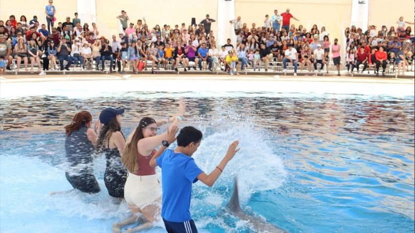 Delfinario Sonora de San Carlos registro 'llenos' durante estas vacaciones; preparan becas