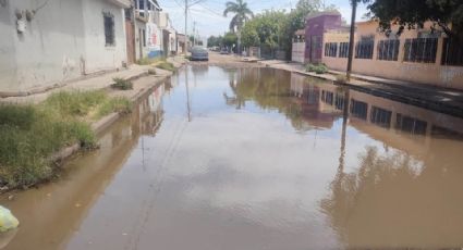 Ciudadanos denuncian fuga de aguas negras en la colonia Cortinas en Ciudad Obregón