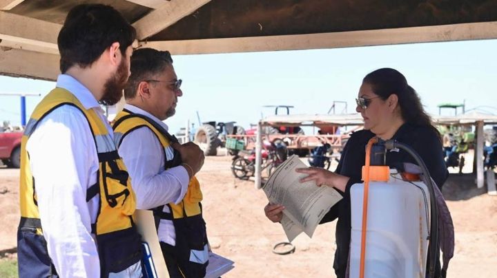 Proaes detecta irregularidades en granjas camaroneras de Huatabampo