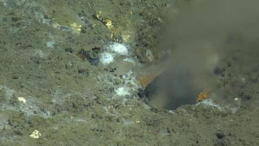 De miedo: Científicos encuentran grieta en el fondo del Océano Pacífico; podría causar un terremoto fatal