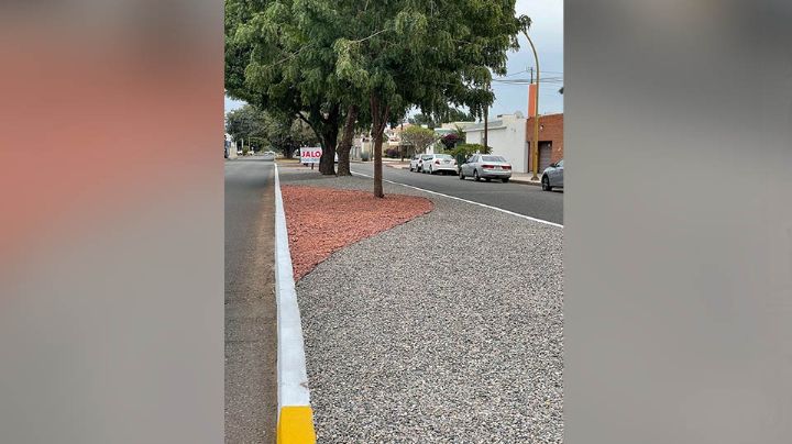 'Jalo por Obregón' invita a los cajemenses a sumarse a 'Adopta un camellón'