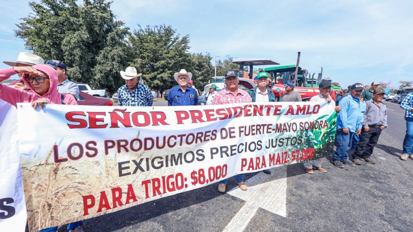Productores de Sonora buscan ejercer presión al no recibir respuesta sobre precios de trigo y maíz