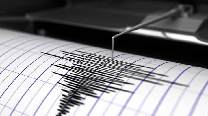 Sismo con magnitud de 7,3 grados sacude a Nueva Zelanda; habría riesgo de tsunami