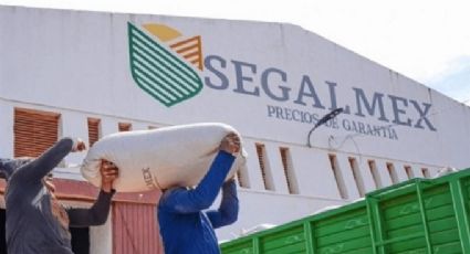 Golpe al Gobierno de AMLO: Autoridades detienen a funcionario de Segalmex por desvío de 142mdp