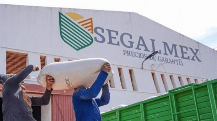 Golpe al Gobierno de AMLO: Autoridades detienen a funcionario de Segalmex por desvío de 142mdp