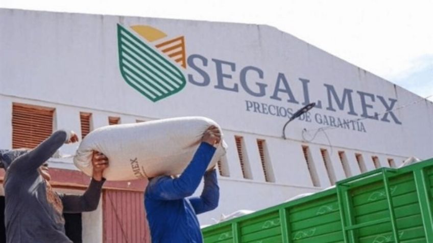 Golpe al Gobierno de AMLO: Autoridades detienen a funcionario de Segalmex por desvío de 142mdp